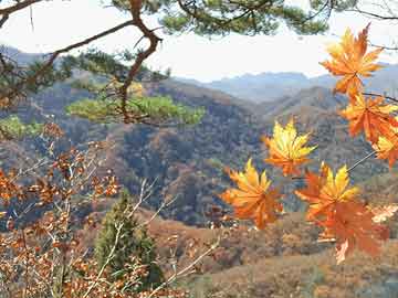 探秘翁江河，实时水位图带你领略美景，追寻内心平静的奇妙旅程（2024年12月9日更新）