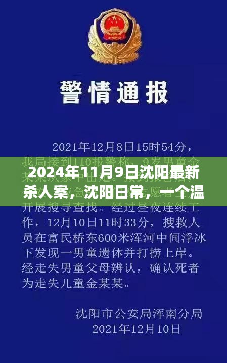 沈阳杀人案背后的友情与陪伴故事，日常温馨背后的真相（2024年）