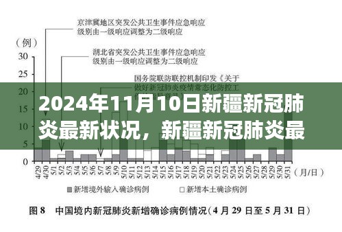 2024年11月10日新疆新冠肺炎最新动态及深度解读