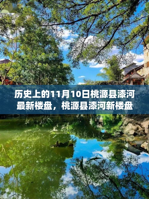 历史视角下的桃源县漆河最新楼盘深度探析，11月10日楼盘更新概览