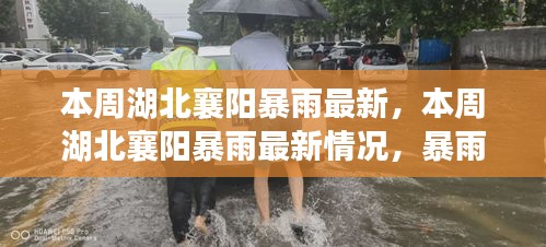 湖北襄阳本周暴雨最新情况，影响、应对措施全解析