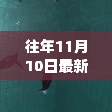 十一月十日，与声波的奇妙遨游