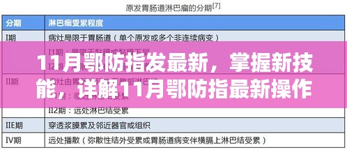 11月鄂防指最新操作流程步骤指南，掌握新技能的详解