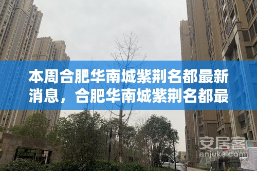 合肥华南城紫荆名都最新动态速递，掌握最新消息的步骤指南