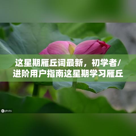 造价咨询 第124页