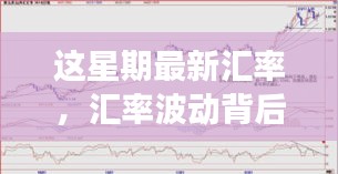 本周汇率波动背后的暖心故事与日常小趣事