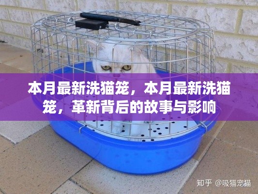 本月最新洗猫笼，革新背后的故事与深远影响