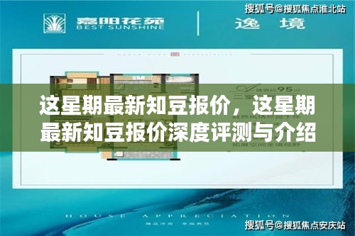 最新知豆报价及深度评测介绍