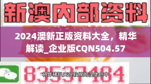 2024澳新正版资料大全，精华解读_企业版CQN504.57