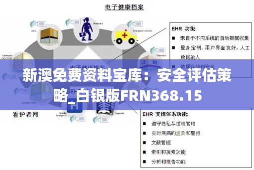 新澳免费资料宝库：安全评估策略_白银版FRN368.15