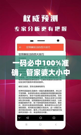 一码必中100%准确，管家婆大小中特解析，户外版ZNA113.77深度剖析