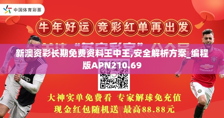 新澳资彩长期免费资料王中王,安全解析方案_编程版APN210.69