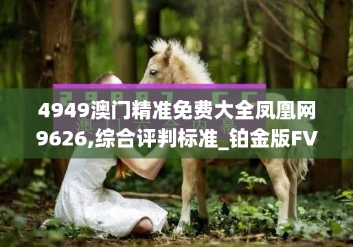 4949澳门精准免费大全凤凰网9626,综合评判标准_铂金版FVJ173.28