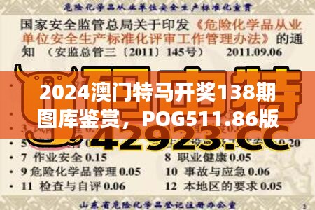 2024澳门特马开奖138期图库鉴赏，POG511.86版深度解析