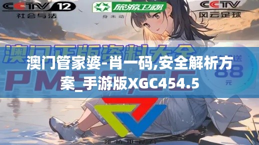 澳门管家婆-肖一码,安全解析方案_手游版XGC454.5