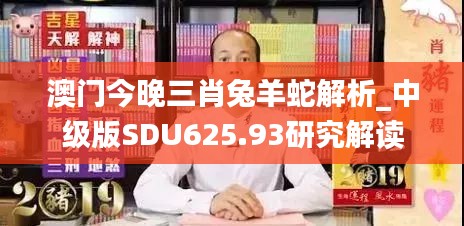 澳门今晚三肖兔羊蛇解析_中级版SDU625.93研究解读