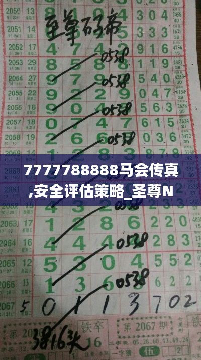 7777788888马会传真,安全评估策略_圣尊NSP986.05