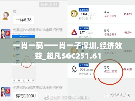 一肖一码一一肖一子深圳,经济效益_超凡SGC251.61