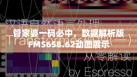 管家婆一码必中，数据解析版FMS658.62动图展示