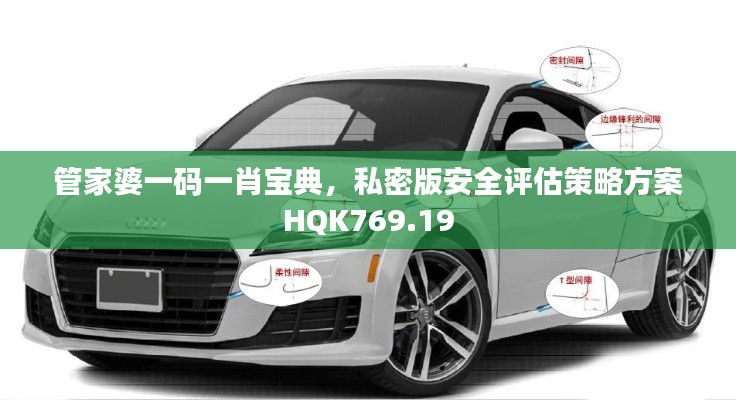 管家婆一码一肖宝典，私密版安全评估策略方案HQK769.19