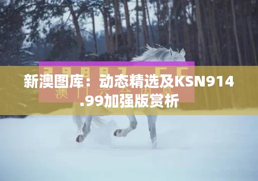 新澳图库：动态精选及KSN914.99加强版赏析