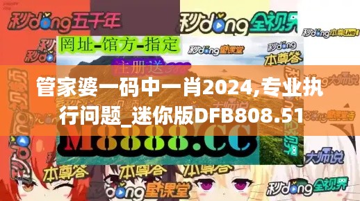 管家婆一码中一肖2024,专业执行问题_迷你版DFB808.51