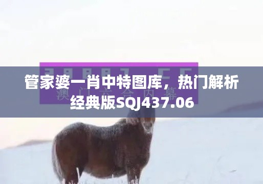 管家婆一肖中特图库，热门解析经典版SQJ437.06