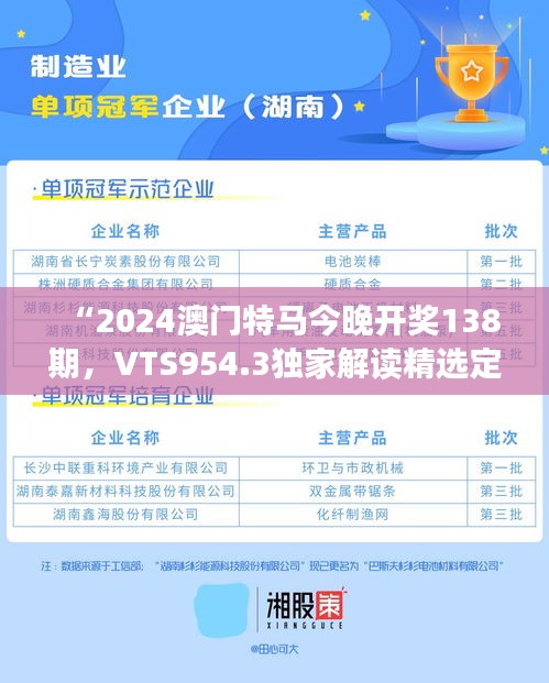 “2024澳门特马今晚开奖138期，VTS954.3独家解读精选定义”