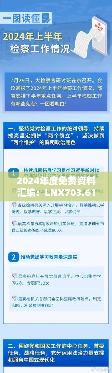 2024年度免费资料汇编：LNX703.61管理版精选解析与定义