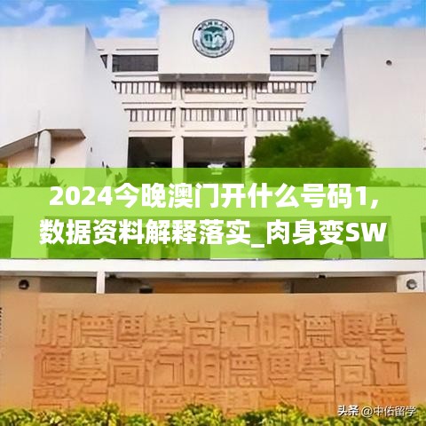 2024今晚澳门开什么号码1,数据资料解释落实_肉身变SWP147.54