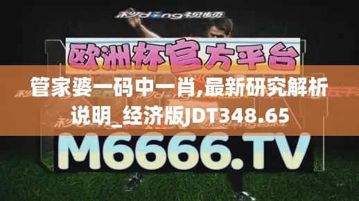 管家婆一码中一肖,最新研究解析说明_经济版JDT348.65