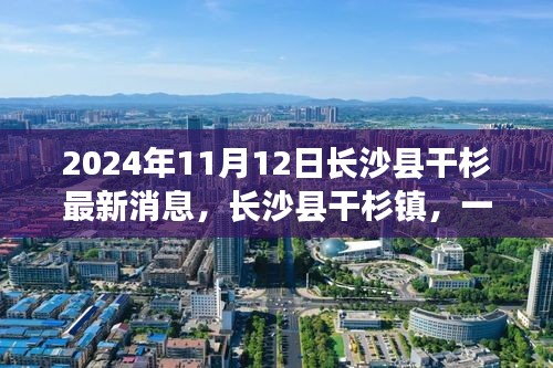 长沙县干杉镇，温馨日常的奇遇记（最新消息2024年11月12日）