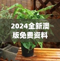 2024全新澳版免费资料集，植物防护秘籍——九天太仙FLQ414.11