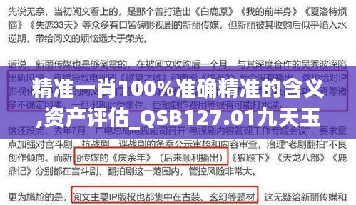 精准一肖100%准确精准的含义,资产评估_QSB127.01九天玉仙