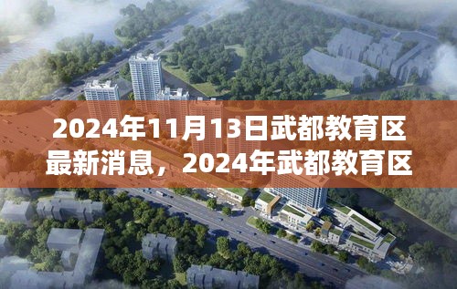 武都教育区革新与突破，引领未来教育潮流的最新动态（2024年11月）