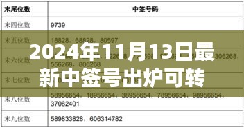 揭秘，2024年最新可转债中签号出炉背后的影响与时代地位分析