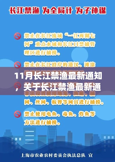 长江禁渔最新通知执行步骤指南，初学者与进阶用户操作手册