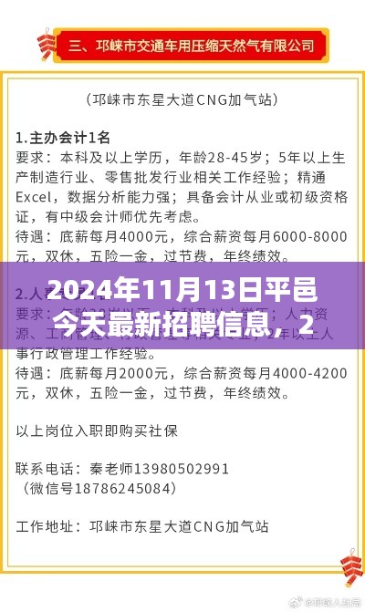 2024年11月13日平邑最新招聘信息汇总