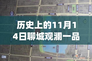 聊城观澜一品揭秘之旅，11月14日最新动态探秘隐藏小巷