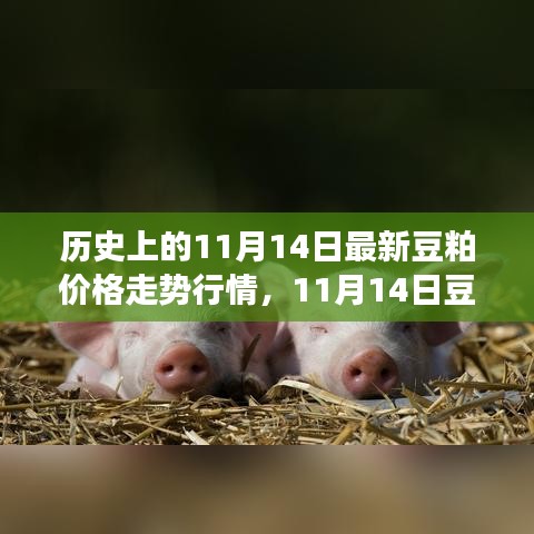 历史上的豆粕价格走势分析，回顾与预测