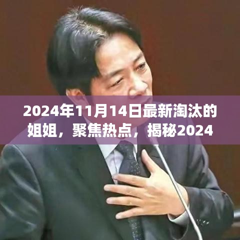 揭秘，2024年11月14日最新淘汰的姐姐背后的故事与热点聚焦