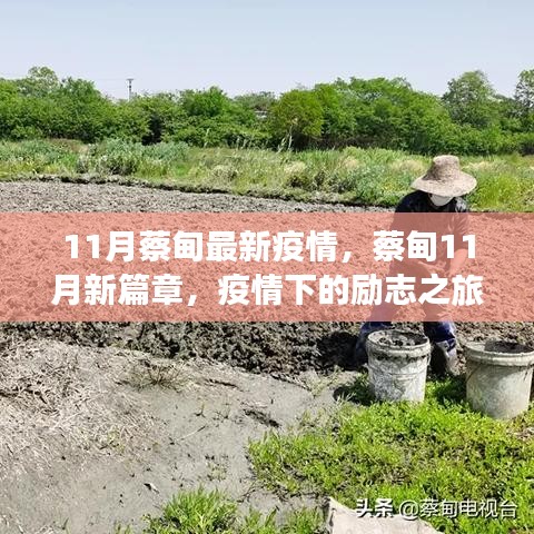 蔡甸11月疫情新篇章，励志之旅展现自信与成就之光