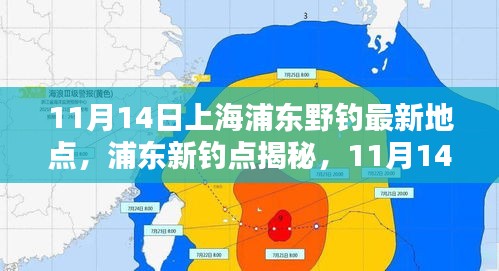 探寻自然之鱼的乐园，上海浦东新钓点揭秘与垂钓盛宴（11月14日）