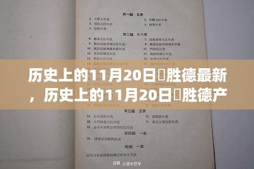 历史上的11月20日姫胜德产品深度评测，特性、体验、竞争分析与用户群体全面解读