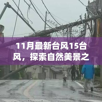 台风15风下的自然探索，与奇妙之旅相约，寻找内心的宁静和平和