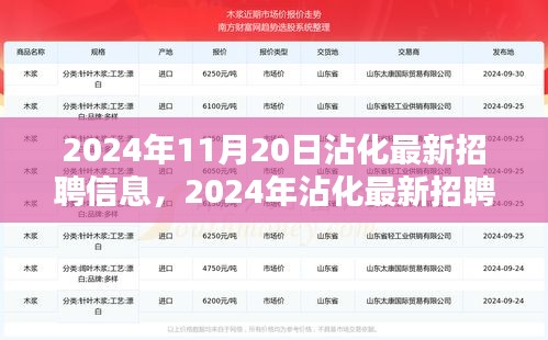 2024年沾化最新招聘信息全攻略，获取与应聘指南（初学者与进阶用户必备）