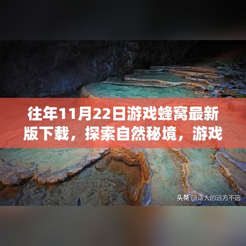 游戏蜂窝带你探索自然秘境，最新下载，心灵平静之旅