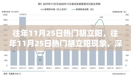 深度解析与观点阐述，胡立阳现象——历年11月25日的热门焦点