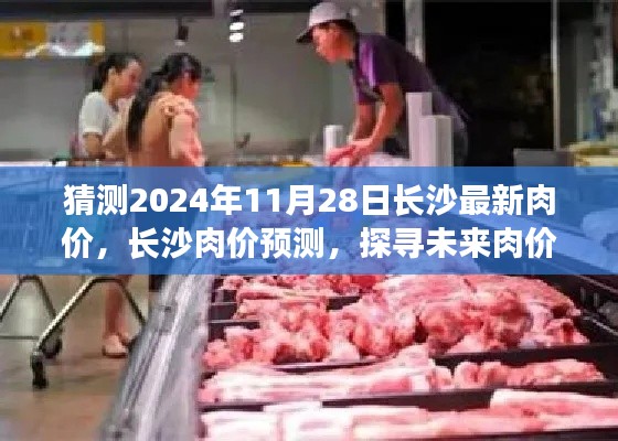 探寻长沙未来肉价走势，预测长沙肉价至2024年11月28日最新趋势分析