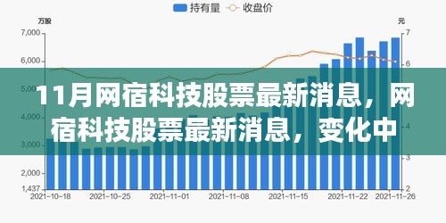 网宿科技股票最新动态，变化中的学习铸就未来自信之源